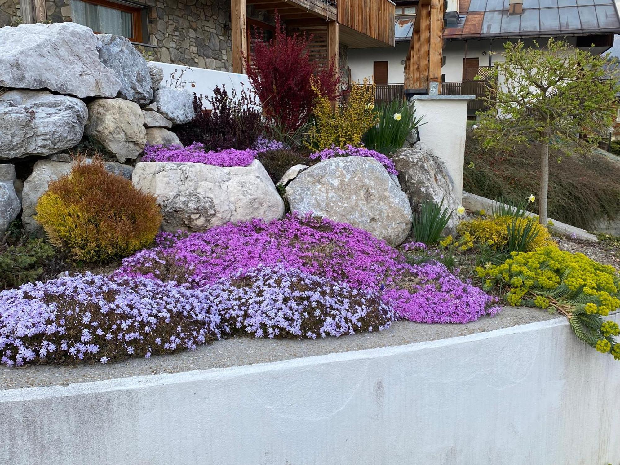Reggia Al Sole Apartment Pieve di Cadore Bagian luar foto